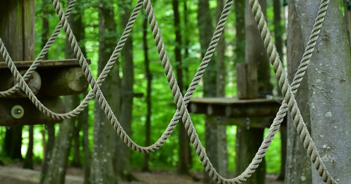 Parc acrobatique In'Forest